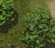 石墓阵药店到六层需要几步？